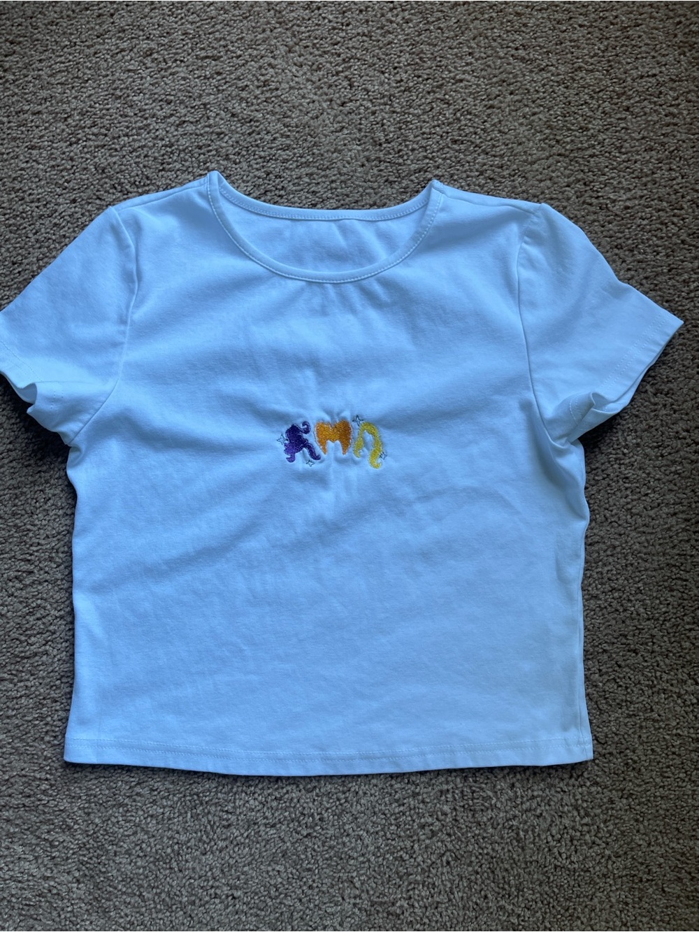 Fall embroidered crop top
